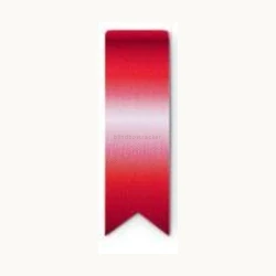 Bookmark (Red)