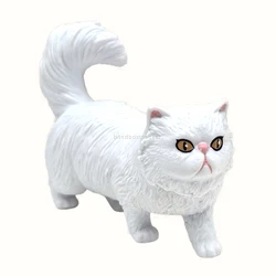 White Cat