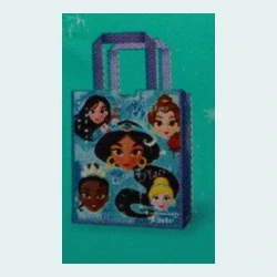 #058 Disney Princess Reusable Bag