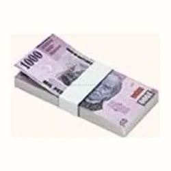 Accessory #092 — Purple Banknote Bundle