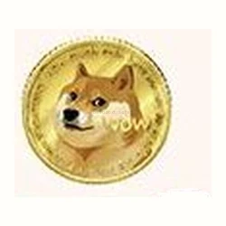 Accessory #096 — Gold Dogecoin