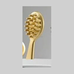 Gold hairbrush