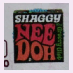 #040 Shaggy NeeDoh Toy