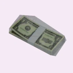#091 Banknote Bundle A