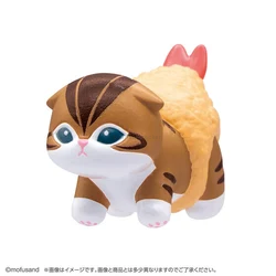Shrimp Fry Pants Tabby-and-White