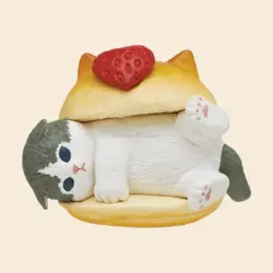 Bicolor Cat Strawberry