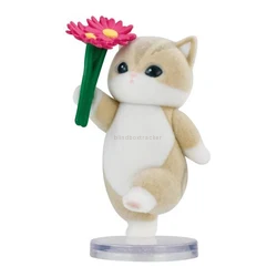 Daisy Cat