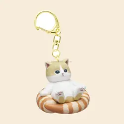 Cat Relaxing in a Shrimp