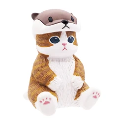 Squid Cat