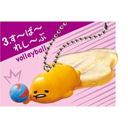 Volleyball