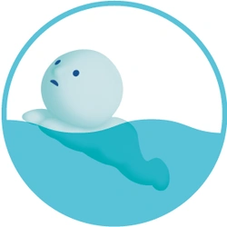 Little Smiski Swimming