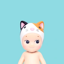 Calico Cat