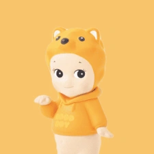 Lucky Pomeranian Orange