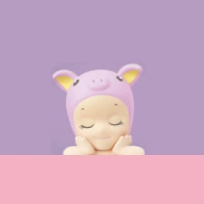Pig